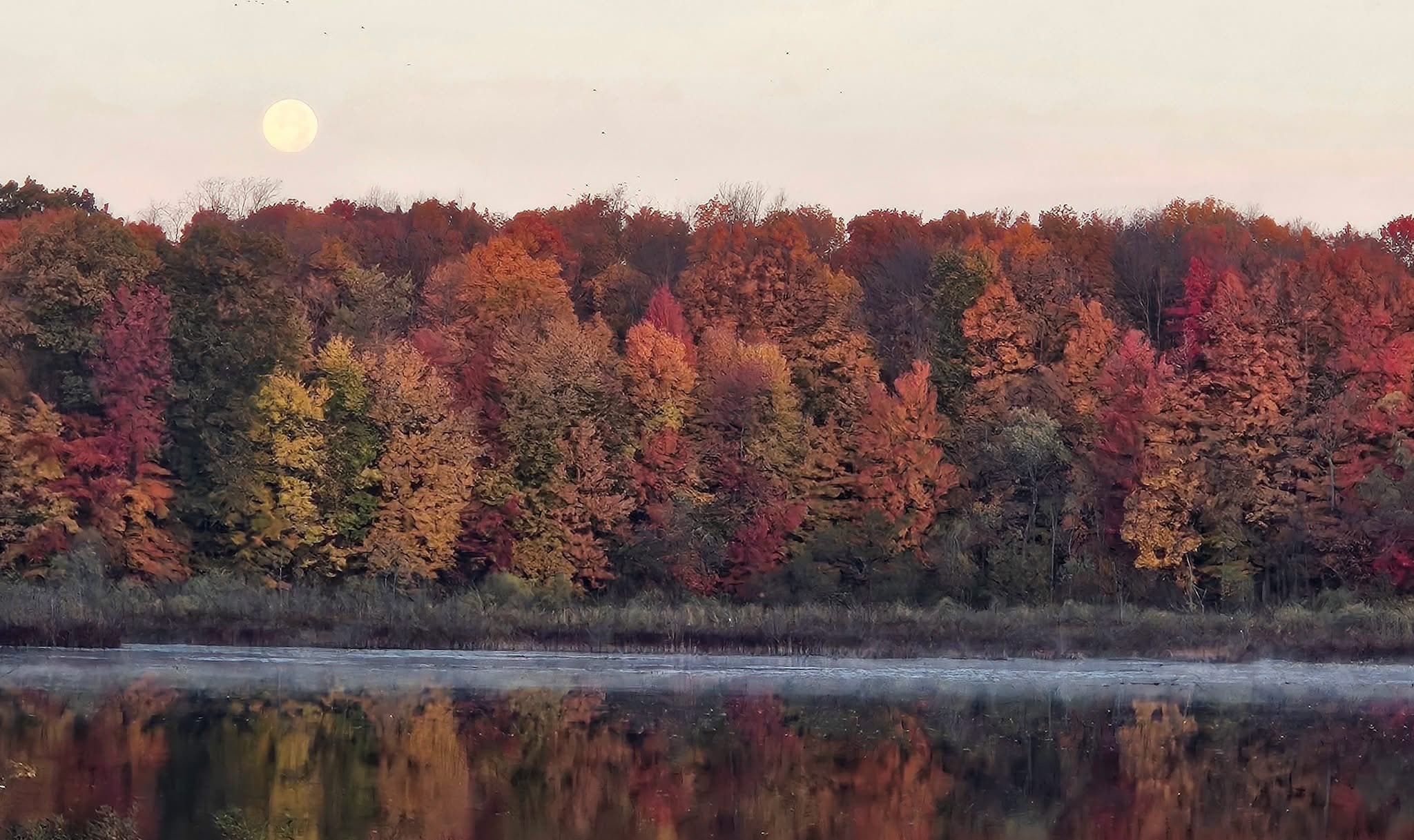 Clear Lake in Southwest Michigan
