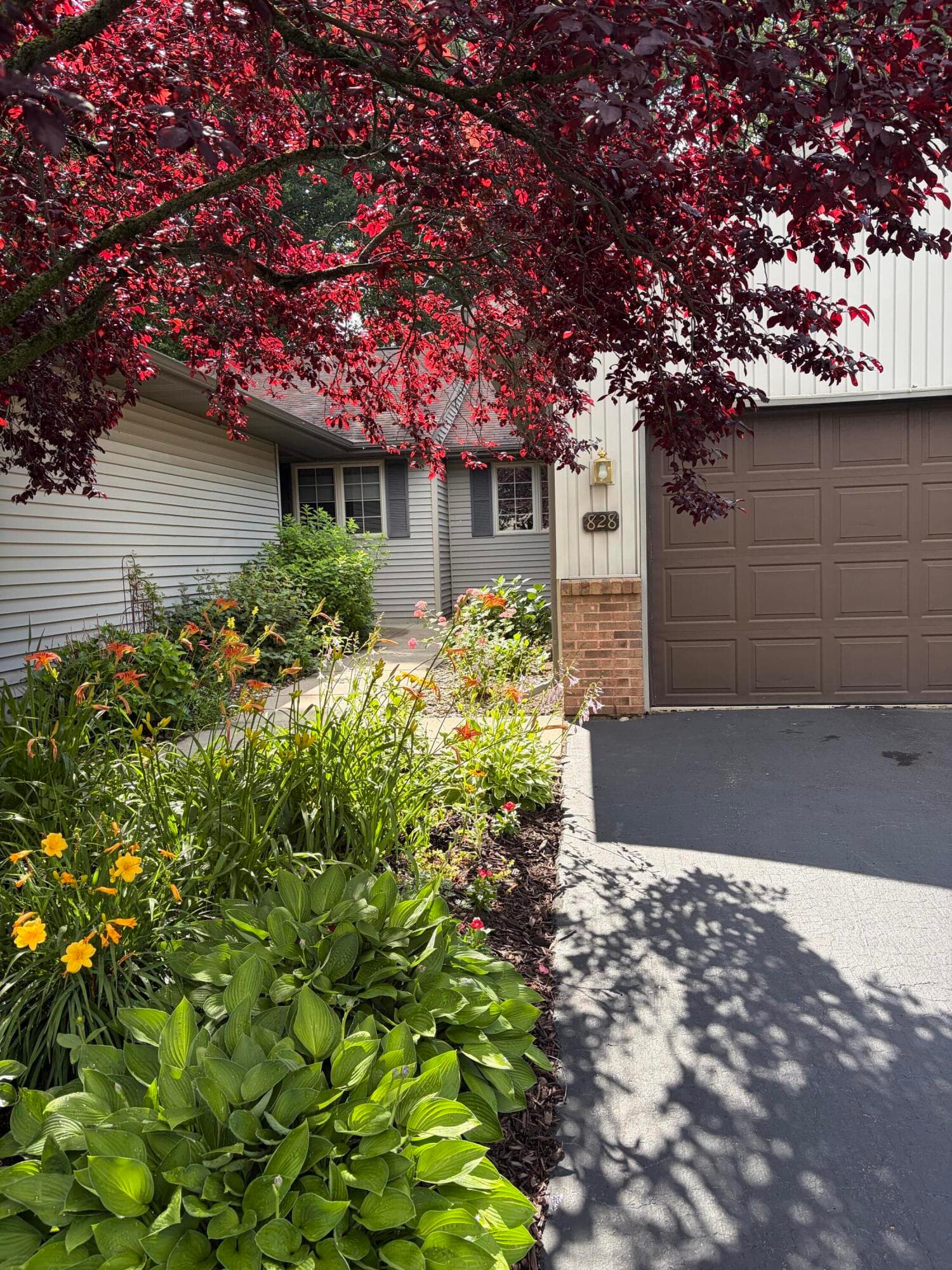 Primary property photo