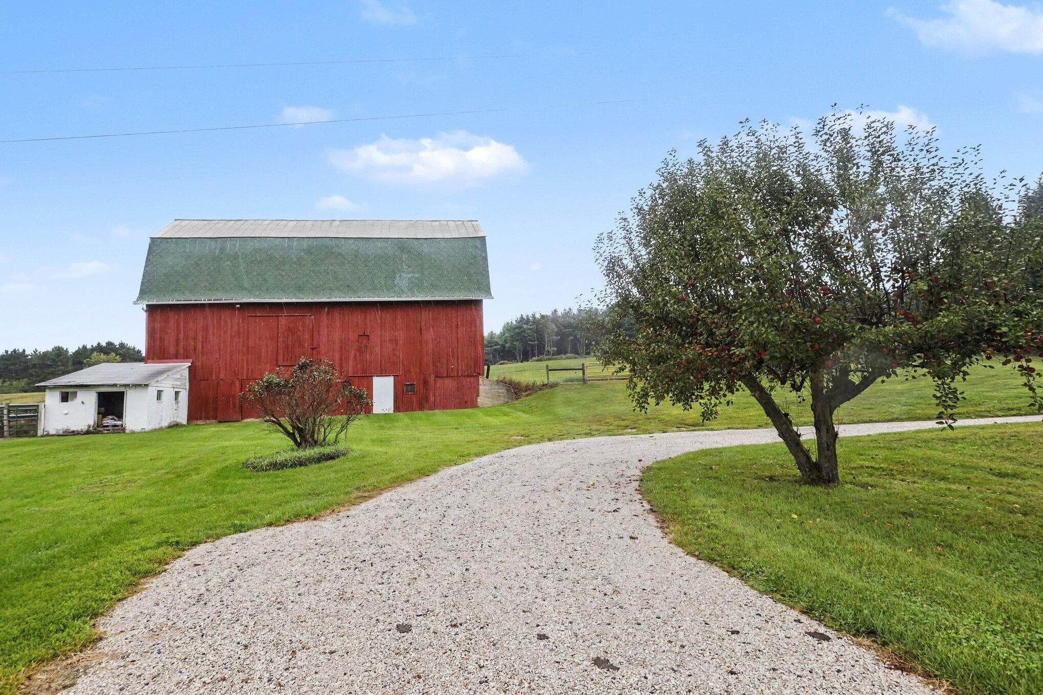 Property photo 6